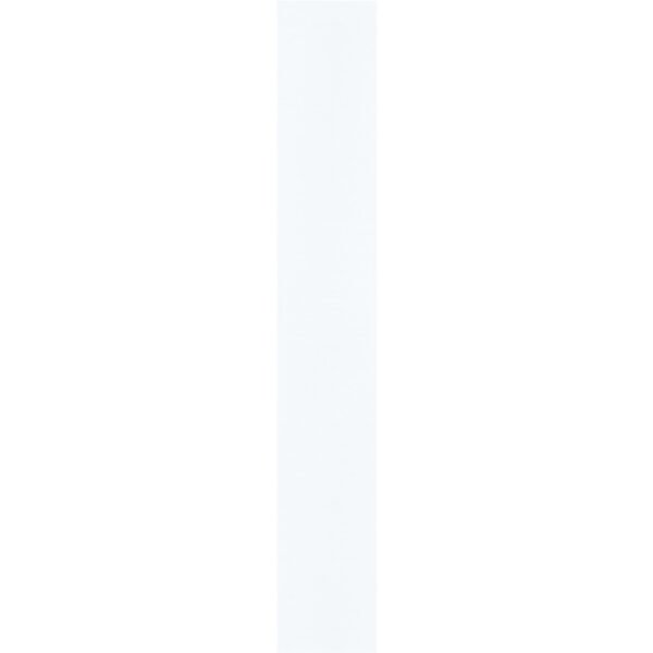 100420964 1100.jpg