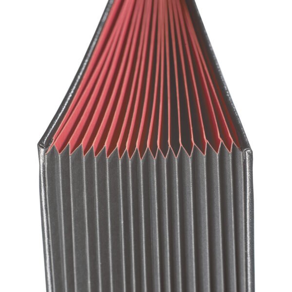 335282000 d tail.jpg