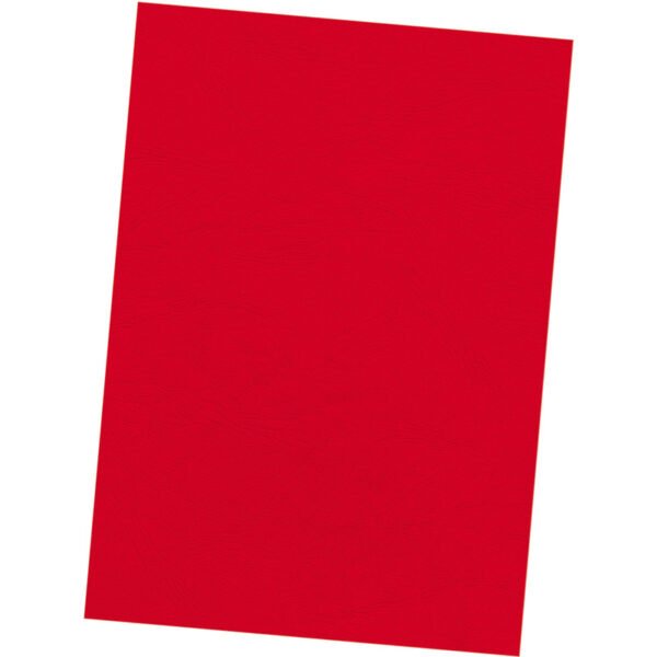 5373702 a4 grain red r.jpg