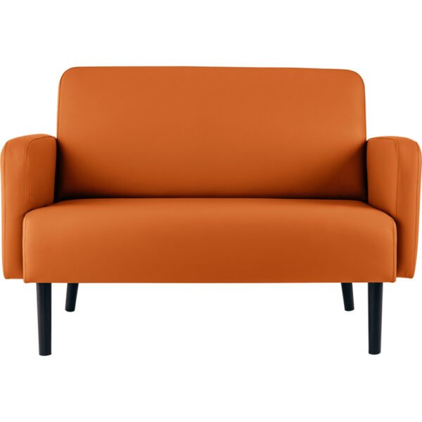 lc2pc.01.05 frontal.jpg