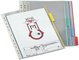 DURABLE Plaque pochette FUNCTION, A4, transparent