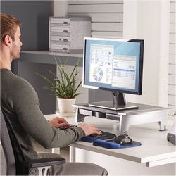 Fellowes Support pour écran standard Office Suites