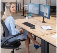 Fellowes Bras support pour écran double Reflex, noir
