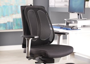 Fellowes Support dorsal en maille Office Suites, noir