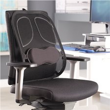 Fellowes Support dorsal en maille Professionnel Series, noir