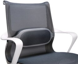 Fellowes Support dorsal I-Spire, gris