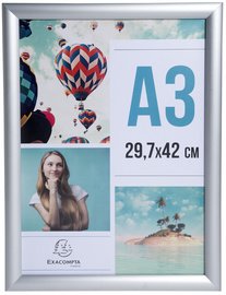 EXACOMPTA Cadre porte-affiche en aluminium, A3, argent