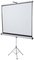 nobo Ecran de projection Standard, (L)1.750 x (H)1.325 mm