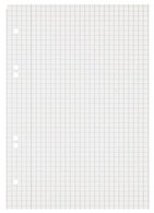 LANDRÉ Cahier "Recycling" A5+, quadrillé, 80 feuilles