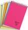 Clairefontaine Bloc reliure intégrale LINICOLOR, A6, 5/5