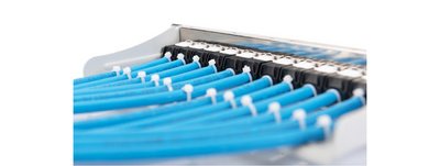 DIGITUS Panneau de brassage modulaire 10", 12 ports, gris