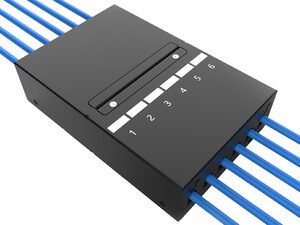 DIGITUS Boîtier de point de consolidation, 6 ports, noir