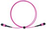 LogiLink Câble patch MPO, 12 fibres, Multimode, OM4, 3 m