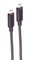 shiverpeaks Câble USB optique 3.2 BASIC-S, C-mâle - C-mâle