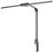Hansa Lampe de bureau à LED "Flow", avec pince, anthracite