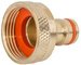 Bradas Nez de robinet avec filetage intérieur 3/4", laiton