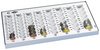 WEDO Monnayeur compact, capacité: 246,40 EUR, gris lumière
