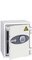 phoenix Coffre-fort pour batteries BATTERY FIGHTER BS0441E