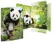 RNK Verlag Carton à dessin "Panda", A3