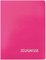 ROTH Zeugnismappe Basic, aus PP, DIN A4, magenta