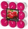 FLAVOUR by Gala Bougie chauffe-plat "Raspberry"
