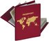 HERMA Pochette de protection RFID pour passeport