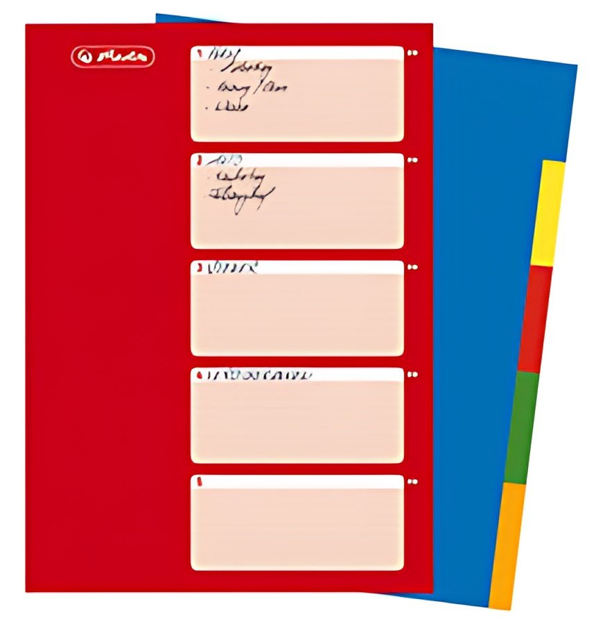 herlitz Intercalaires en plastique, uni, A4, 10 touches