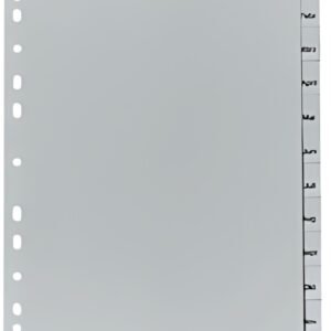 herlitz Intercalaires mensuels en plastique, A4, 12 touches