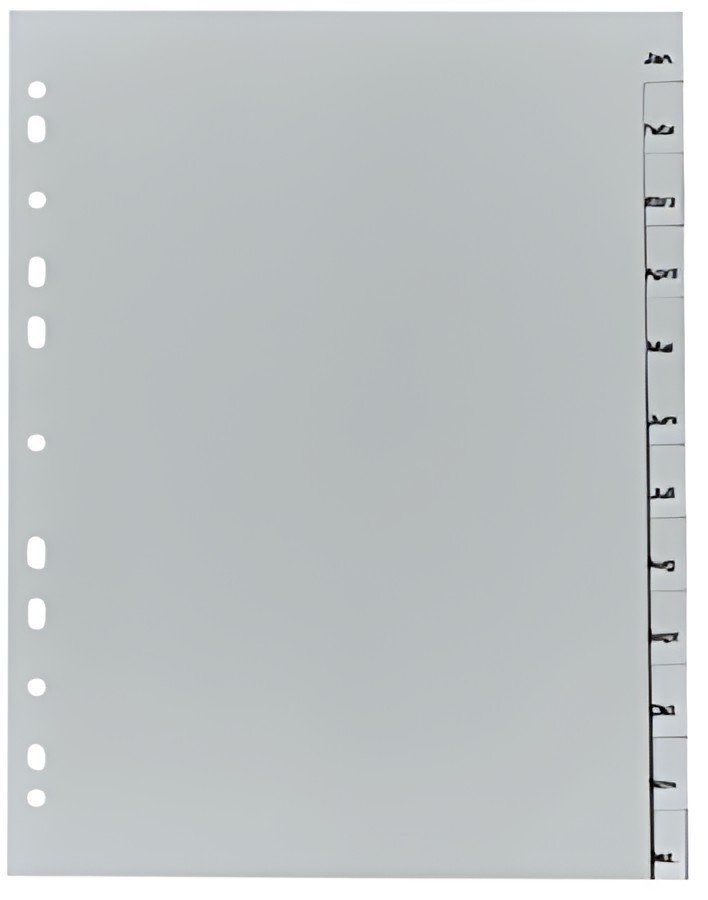 herlitz Intercalaires mensuels en plastique, A4, 12 touches
