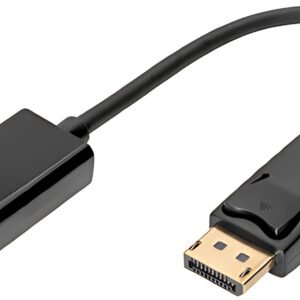 DIGITUS Adaptateur DisplayPort / convertisseur, 0,2 m