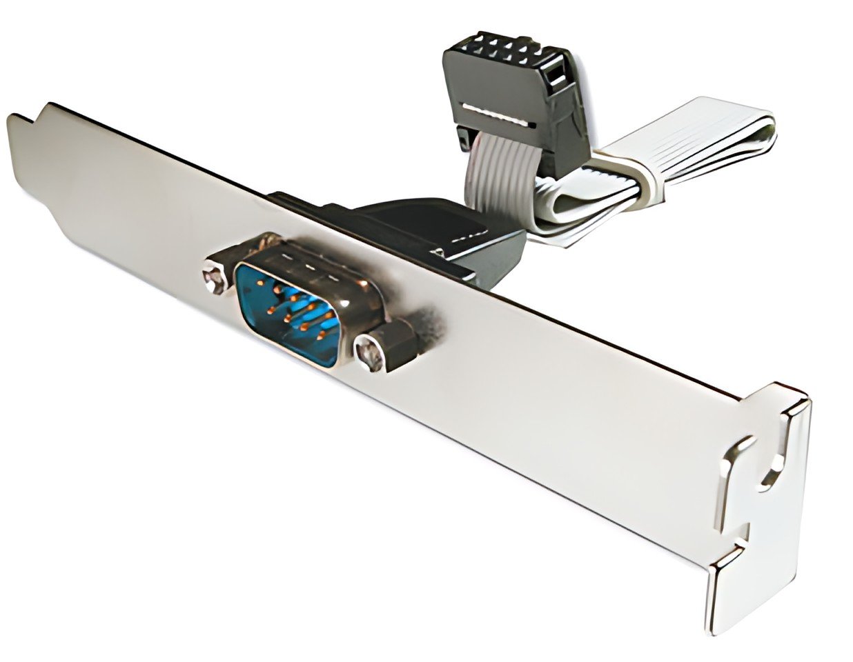 DIGITUS Câble adaptateur sur équerre slot, 0,25 m