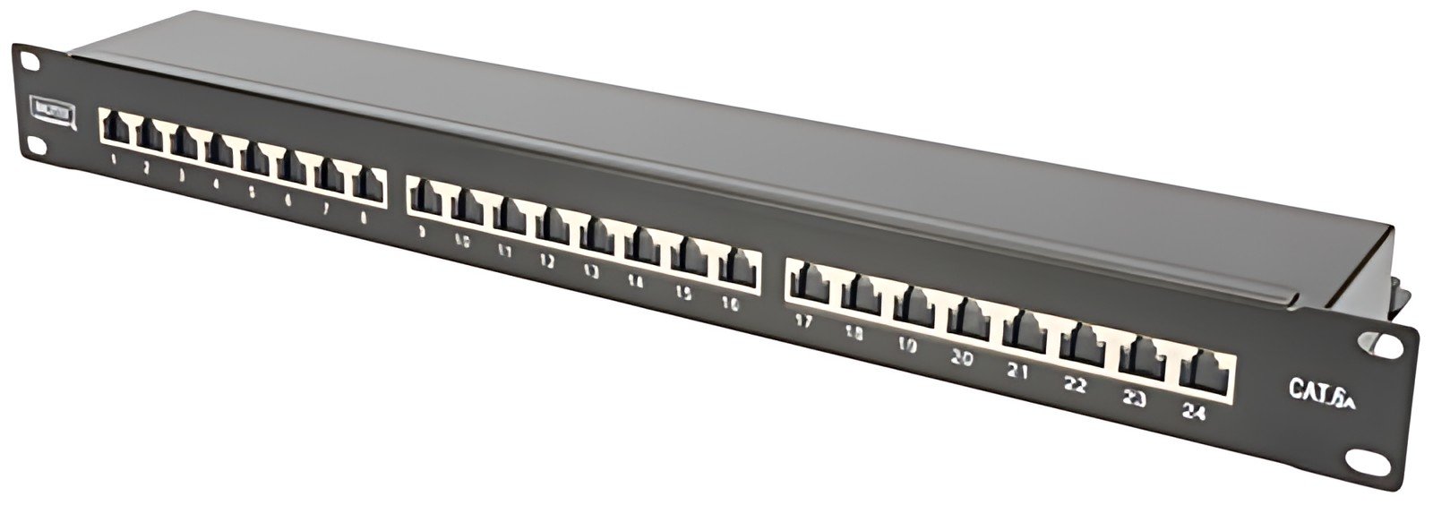 DIGITUS Panneau de brassage 19", Cat.6A, classe EA, 24 ports