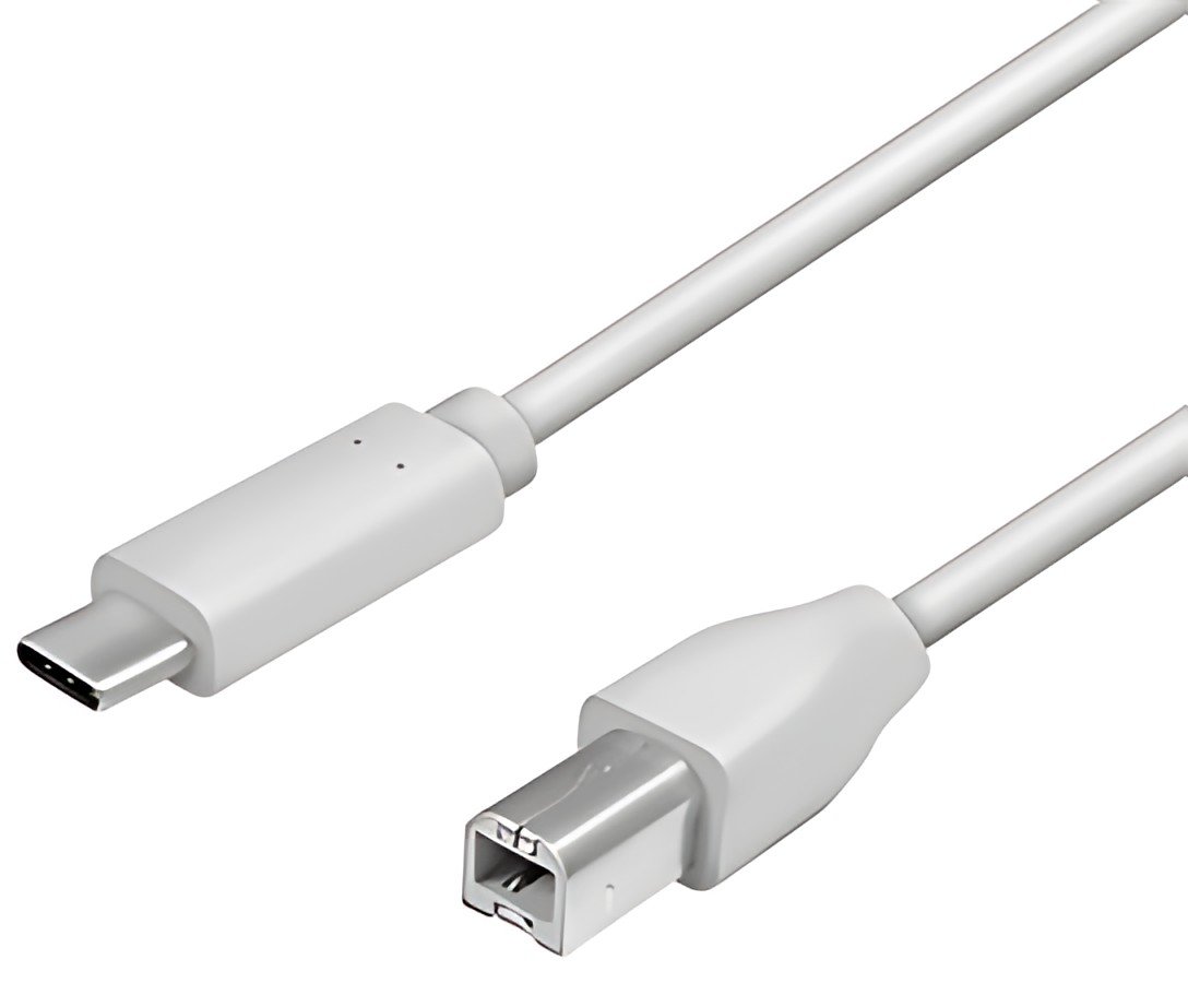 LogiLink Câble USB 2.0, USB-C - USB-B mâle, 1,0 m, gris