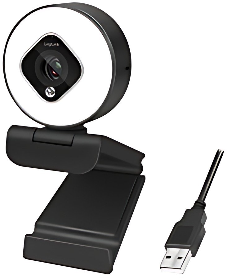 LogiLink Webcam USB Full HD à deux micros, noir