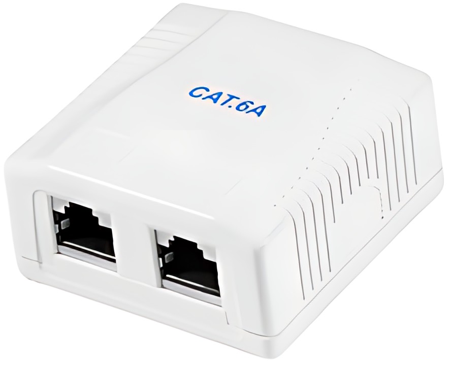 LogiLink Prise RJ45 cat. 6A avec boîtier en saillie, 1x RJ45