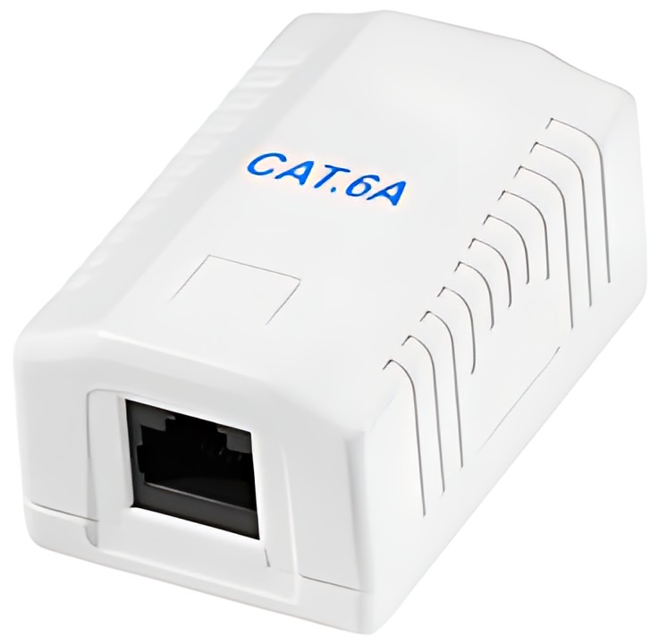 LogiLink Prise RJ45 cat. 6A avec boîtier en saillie, 1x RJ45