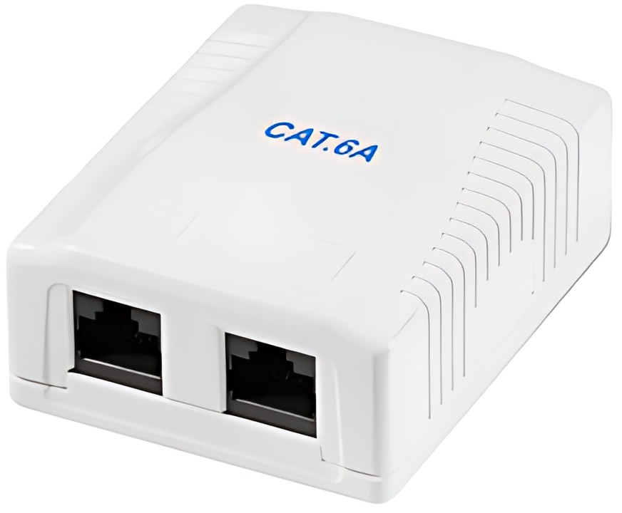 LogiLink Prise RJ45 cat. 6A avec boîtier en saillie, 2x RJ45