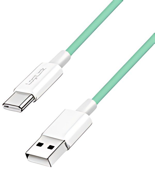 LogiLink Câble USB 2.0, USB-A - USB-C, 1,0 m, vert