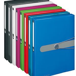 herlitz Boîte de classement easy orga to go, A4, framboise