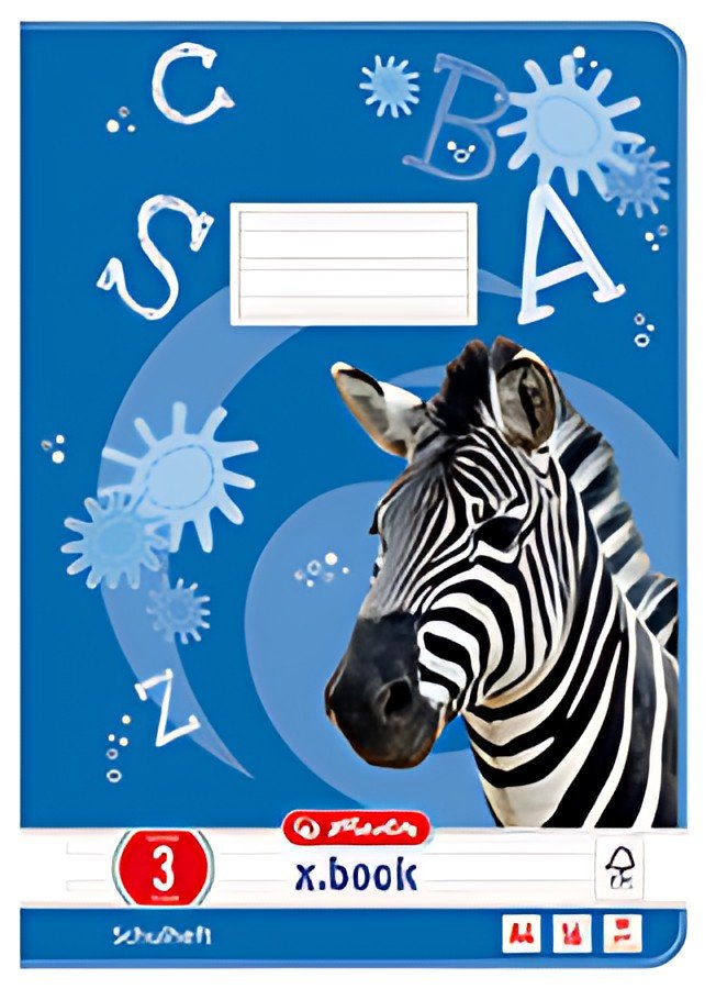 herlitz Cahier x.book, A4, linéature 8f / rectangles