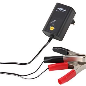 ANSMANN Chargeur pour batterie de voiture, 2 / 6 et 12 Volt