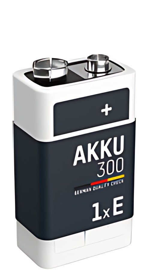 ANSMANN Pile rechargeable NiMH maxE, bloc E 9V, 300 mAh