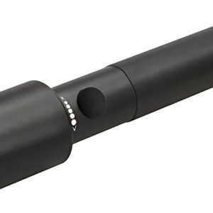 ANSMANN Lampe de poche LED Future T300F, IP54, noir