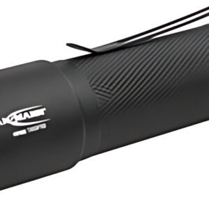 ANSMANN Lampe de poche LED Future T600FRB, à pile, noir