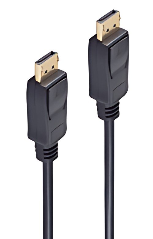 shiverpeaks BASIC-S Câble de connexion Displayport, 5,0 m