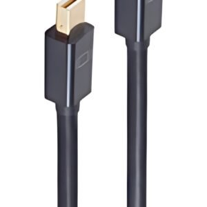 shiverpeaks BASIC-S Câble d'alimentation mini DisplayPort