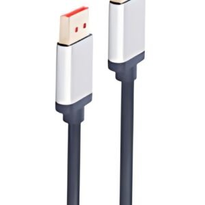 shiverpeaks Câble de raccordement DisplayPort, 1,5 m