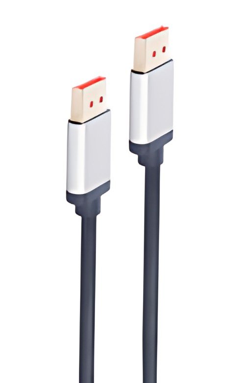 shiverpeaks Câble de raccordement DisplayPort, 2 m