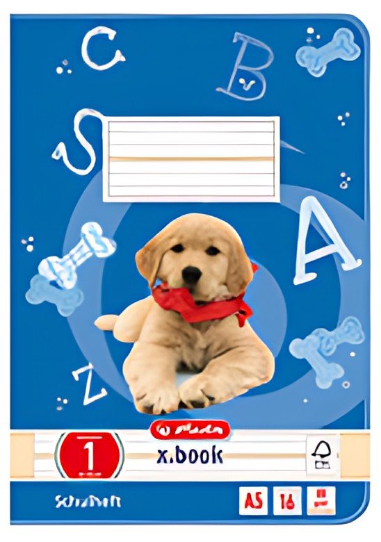 herlitz Cahier scolaire x.book, A5, linéature 4