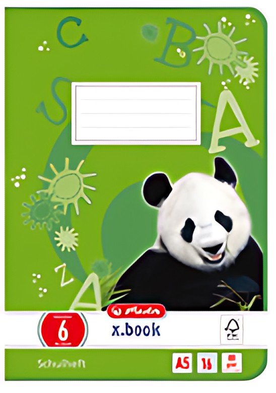 herlitz Cahier x.book, A5, linéature 8f / rectangles